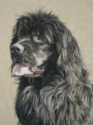 Превью фото № 169104