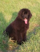 Превью фото № 169110