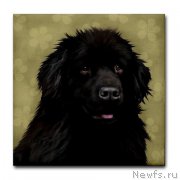 Превью фото № 169158