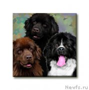 Превью фото № 169160