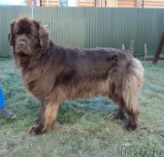 Превью фото № 169174