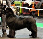 Превью фото № 169178