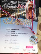 Превью фото № 169235