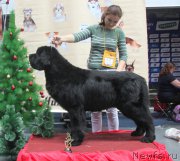 Превью фото № 169278