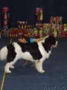 Превью фото № 169284