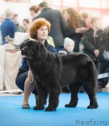 Превью фото № 169316