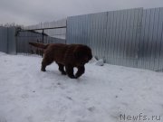 Превью фото № 169331