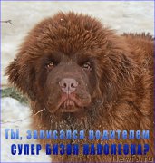 Превью фото № 169357