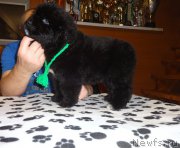 Превью фото № 169361