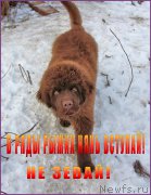 Превью фото № 169381