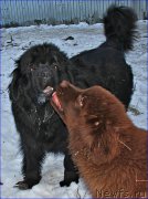 Превью фото № 169383