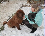 Превью фото № 169387