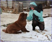 Превью фото № 169388