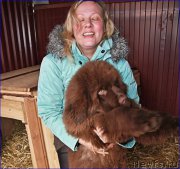 Превью фото № 169394