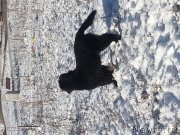 Превью фото № 169404