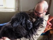 Превью фото № 169449