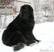 Превью фото № 169483