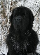 Превью фото № 169490