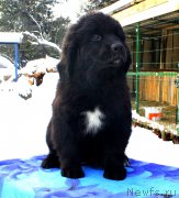 Превью фото № 169525