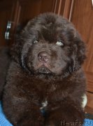 Превью фото № 169575