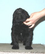 Превью фото № 169581