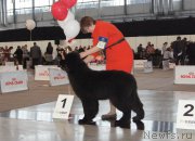 Превью фото № 169598