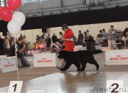 Превью фото № 169599