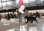 Превью фото № 169600