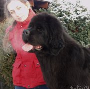 Превью фото № 169613