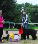 Превью фото № 16962