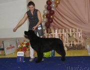 Превью фото № 169659