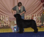 Превью фото № 169661