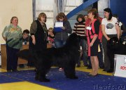 Превью фото № 169669