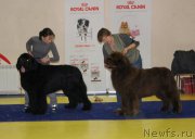 Превью фото № 169682