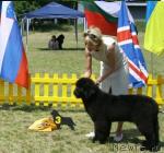 Превью фото № 16969