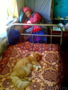 Превью фото № 169722