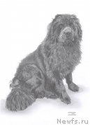 Превью фото № 169792