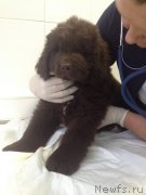 Превью фото № 169807