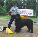 Превью фото № 16983