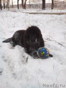 Превью фото № 169881