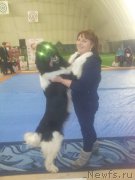 Превью фото № 169896