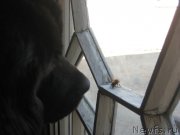 Превью фото № 169907