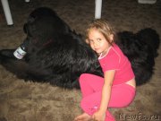 Превью фото № 169908