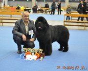 Превью фото № 169936