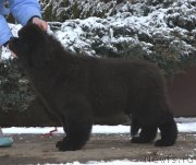 Превью фото № 169954