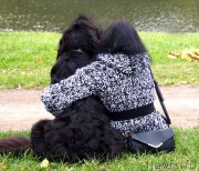 Превью фото № 169968