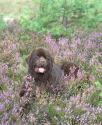 Превью фото № 170105