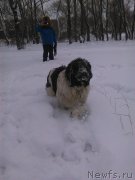 Превью фото № 170121