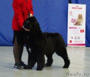 Превью фото № 170128