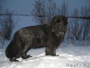 Превью фото № 170154